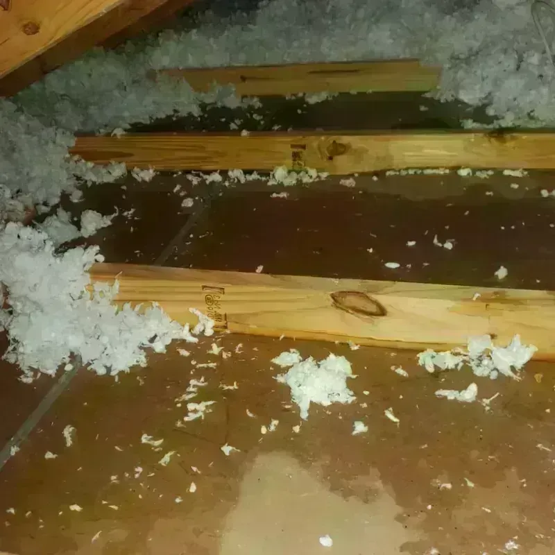 Attic Water Damage in Desert Shores, CA