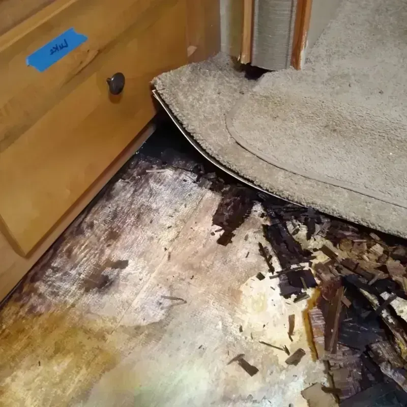 Wood Floor Water Damage in Desert Shores, CA